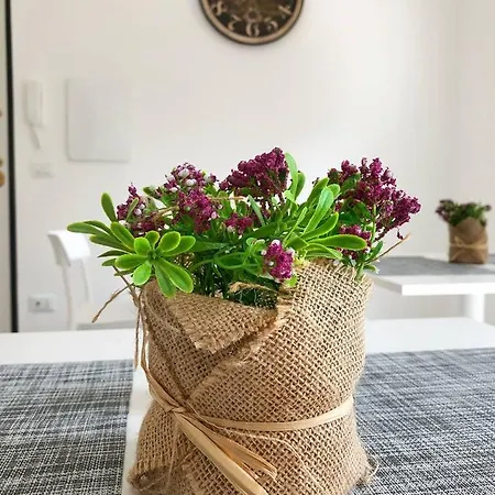 Frühstückspension La Casa Di Amalia 2*