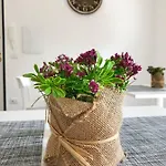 Nocleg ze śniadaniem La Casa Di Amalia 3*